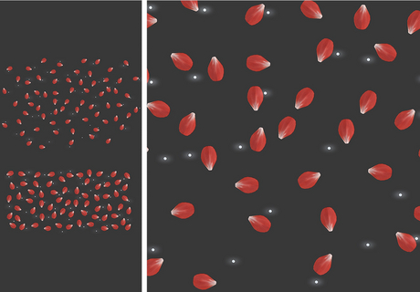 Second Life Marketplace - Dahlia X MADRAS - Ana - Rose Petals - Red